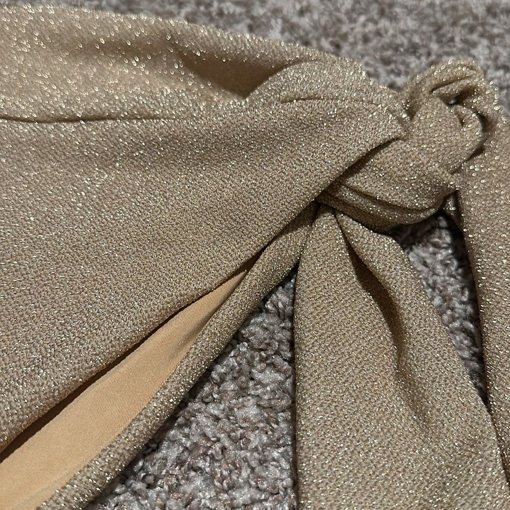 Beach Riot Bikini Bottom - Picture 2 of 3